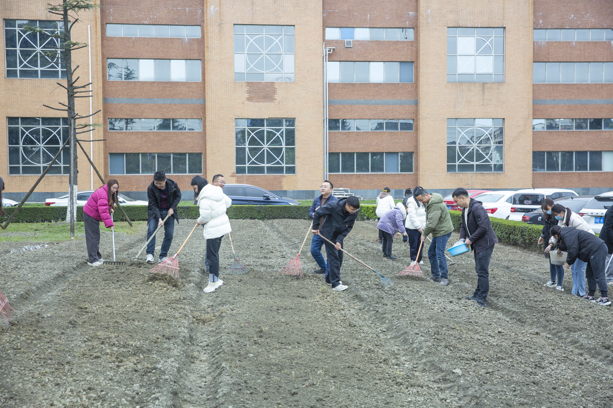 植树节 | 开云网页版页面登录开展“植此青绿，拥抱春天”植树节活动